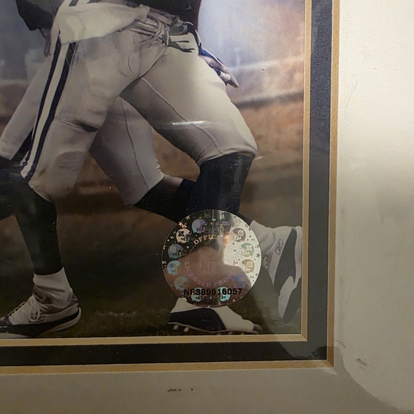 2004 Dallas Cowboys Team Photo Collage (Officially Licensed NFL Collectible) - Picture 3 of 7